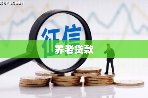 房山养老贷款