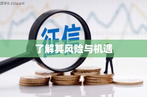 房山了解其风险与机遇