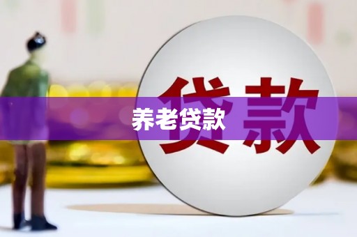 房山养老贷款