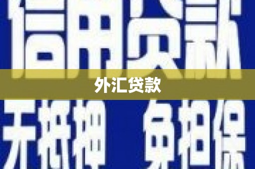 房山外汇贷款