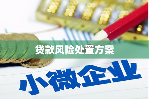 房山贷款风险处置方案