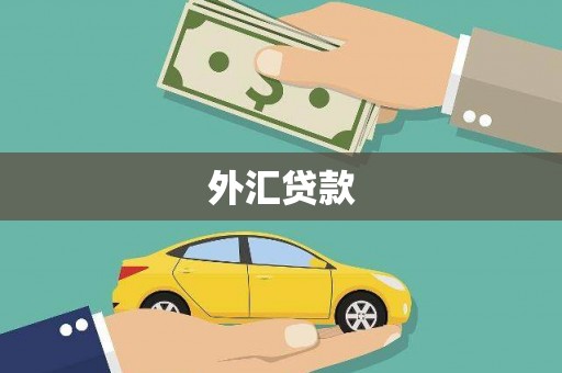 房山外汇贷款