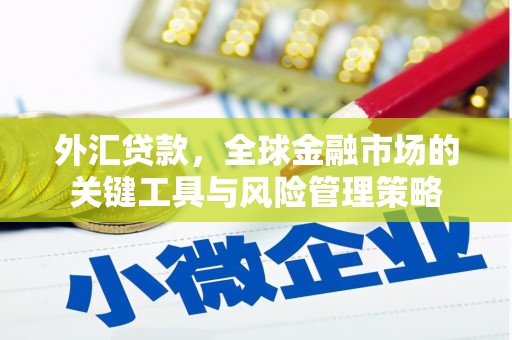 房山外汇贷款，全球金融市场的关键工具与风险管理策略