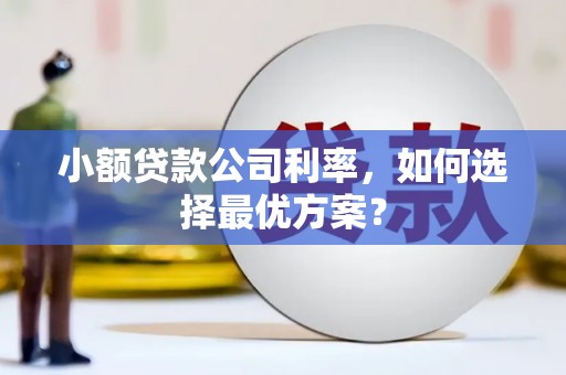 房山小额贷款公司利率，如何选择最优方案？
