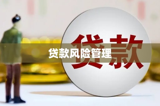 房山贷款风险管理
