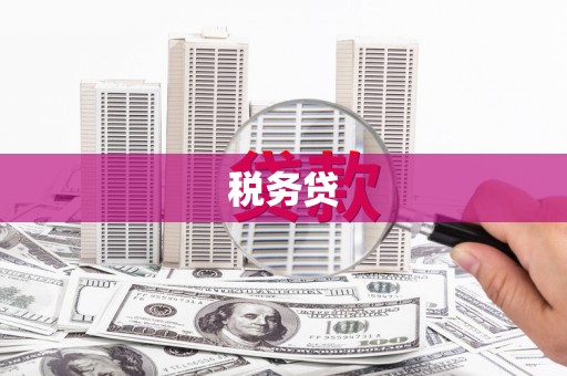 房山税务贷