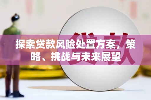 房山探索贷款风险处置方案，策略、挑战与未来展望