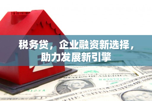 房山税务贷，企业融资新选择，助力发展新引擎