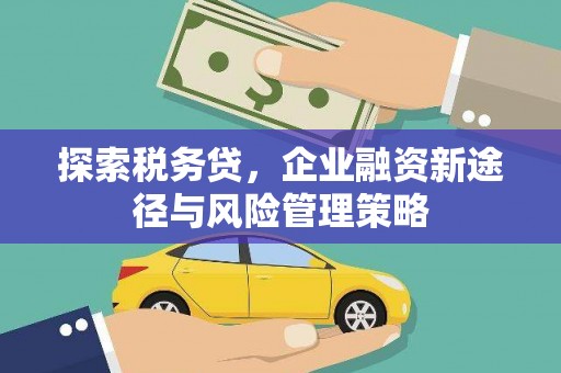 房山探索税务贷，企业融资新途径与风险管理策略