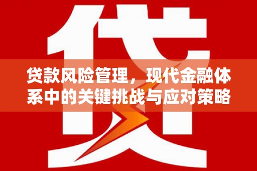 房山贷款风险管理，现代金融体系中的关键挑战与应对策略