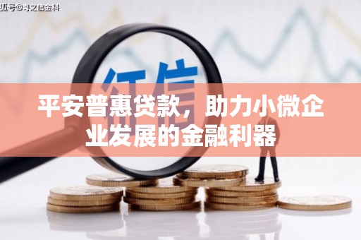 房山平安普惠贷款，助力小微企业发展的金融利器