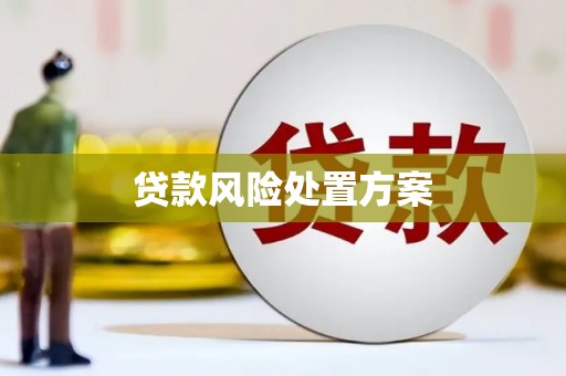 房山贷款风险处置方案